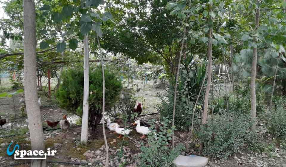 باغ خانه باغ ویلایی رضوان - فومن - روستای شیرذیل
